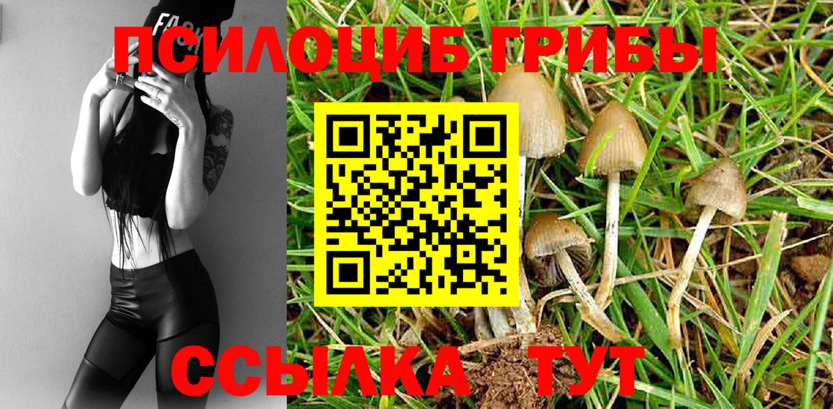 Галлюциногенные грибы мицелий Нягань